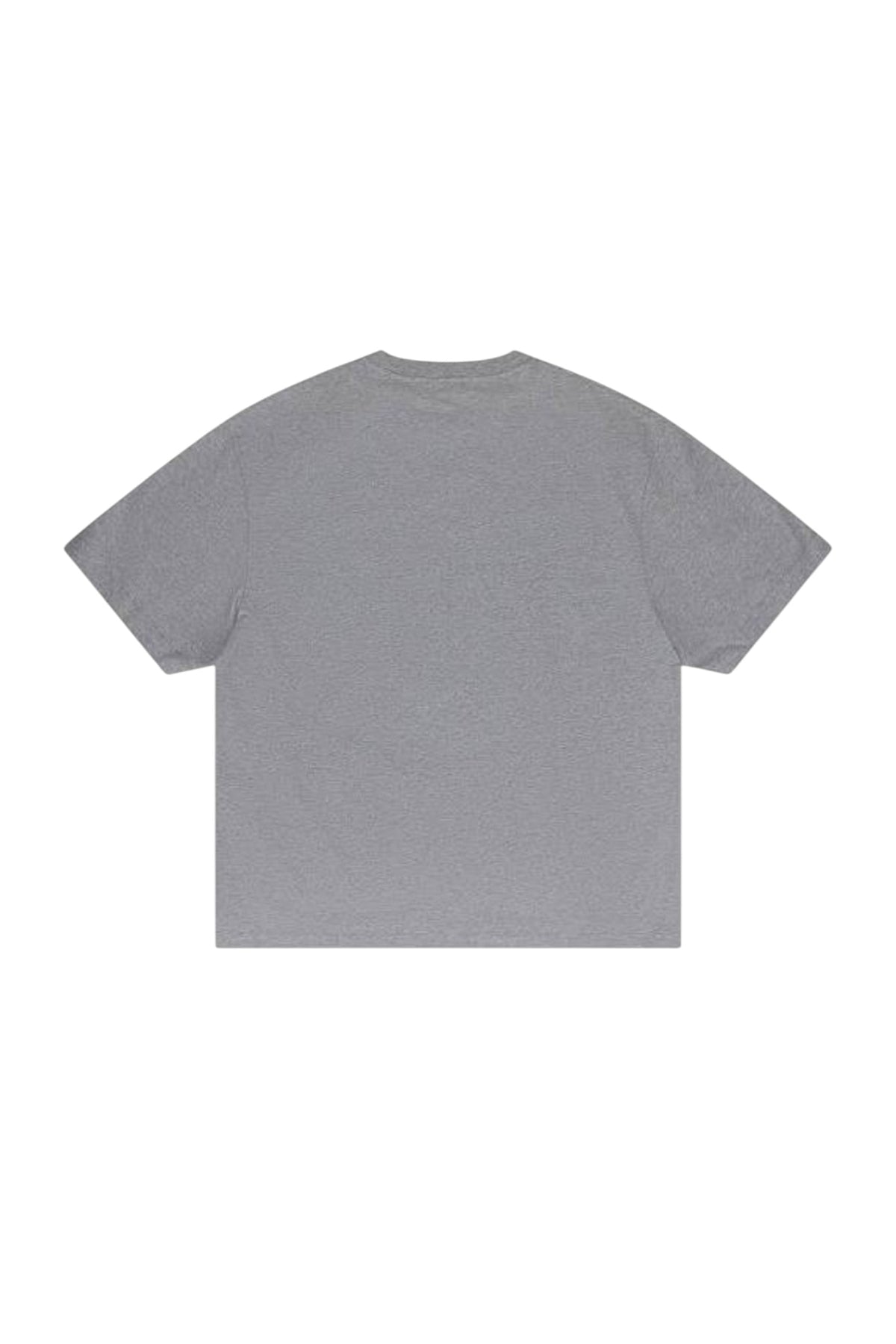 Big Bookish Skate Graphic T-Shirt grey