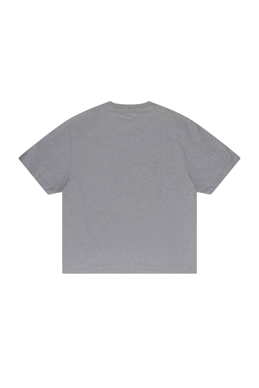 Big Bookish Skate Graphic T-Shirt grey