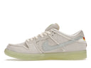 Nike SB Dunk Low Mummy one-kickz