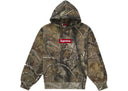 Supreme Box Logo Hooded Sweatshirt FW25 Realtree AP Camo one-kickz