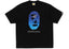 https://res.cloudinary.com/dyql5hig8/image/upload/v1752419917/store_eyV8jbq7WscM6atJ1qNPQ/uploads/fuvvrxfyregal8f2j8go.webp