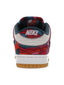 Nike SB Dunk Low Pro Parra Abstract Art (2021)